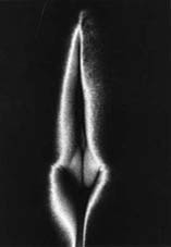 " In T mate n°6", Alain Geoffroy
