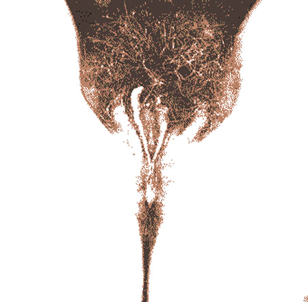 tulip00q