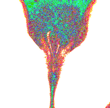 tulip01