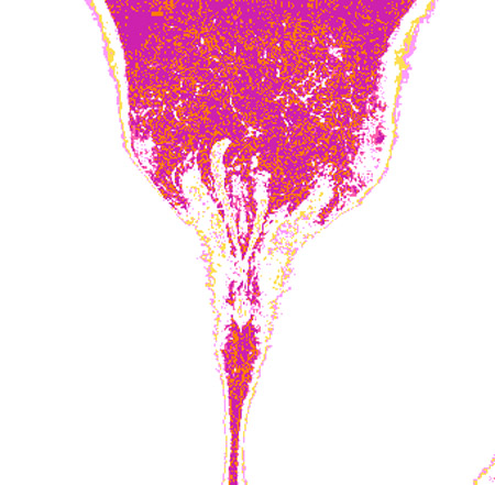 tulip04e