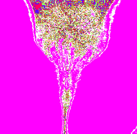 tulip04g