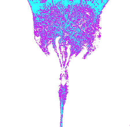 tulip08f