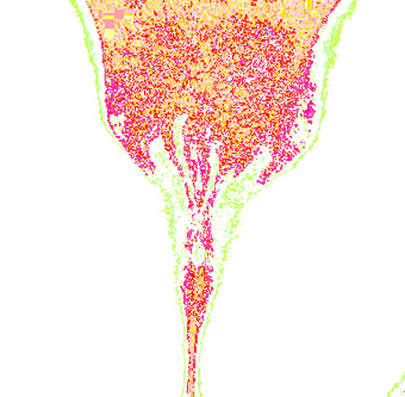 tulip16c