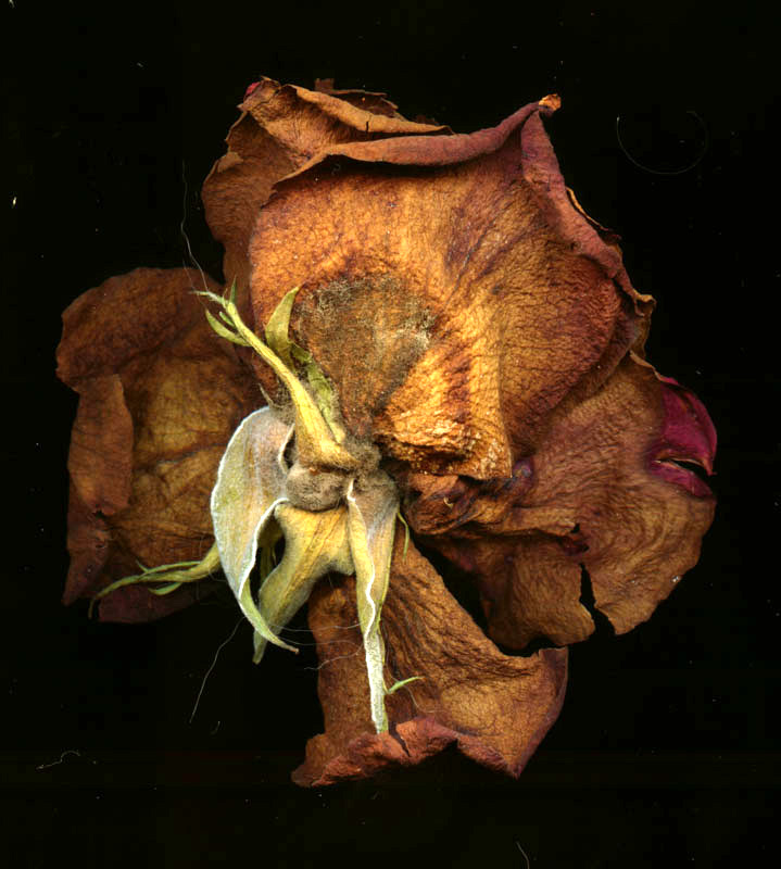 2 - verso