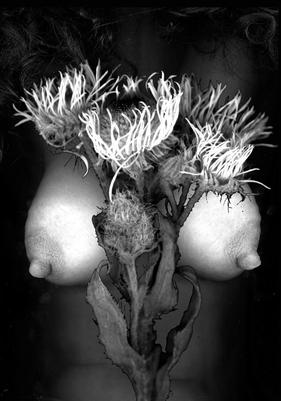 Carte postale de Lauranne postale "Buste et fleurs"