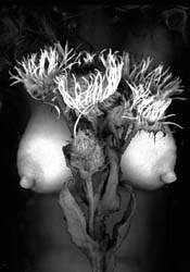 Carte postale de Lauranne : "Fleurs et buste"