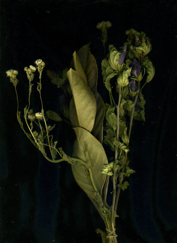 1- bouquet 2007