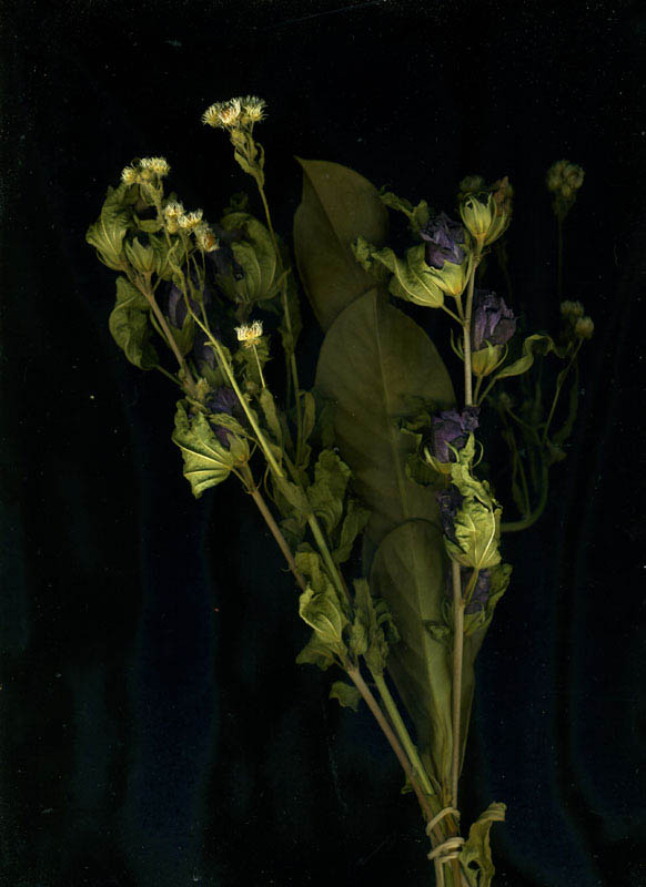 2- bouquet 2007