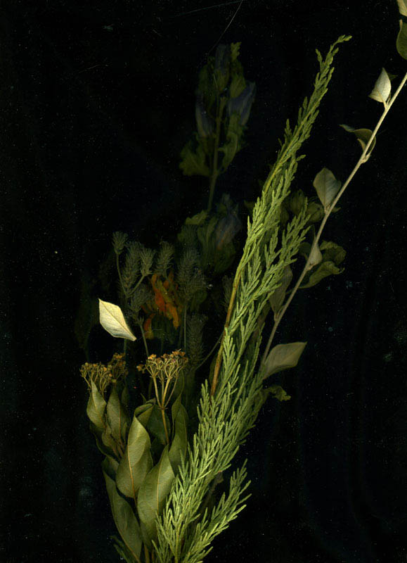 3- bouquet 2007