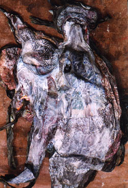 Photo de Jacques Rouby, "Insectes", 2001.