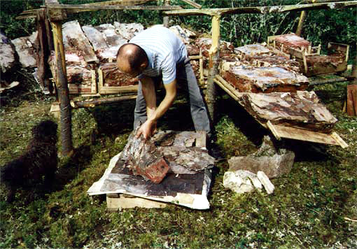 J.R au travail. Mai 2000. Photo : Lauranne
