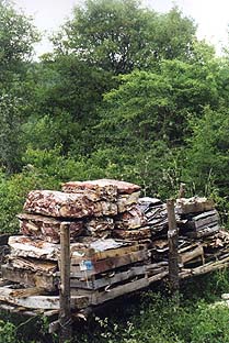Installation de Jacques Rouby, mai 2001