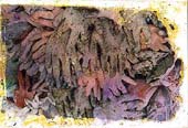 Les Gants, (3), 10 x 15 cm, photo originale dégradée