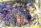 Les Gants, (5), 10 x 15 cm, photo originale dégradée