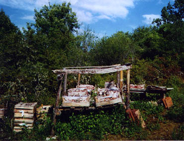 Installation sur palettes et ponts de bois, Jacques Rouby juillet 2000