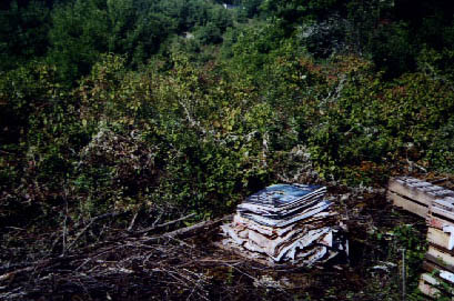 Pile sur palette, juillet 2000